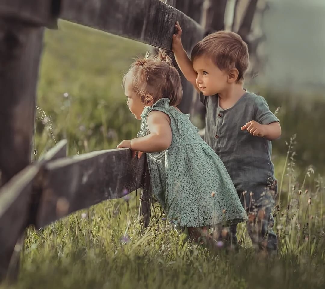 яндекс картинка