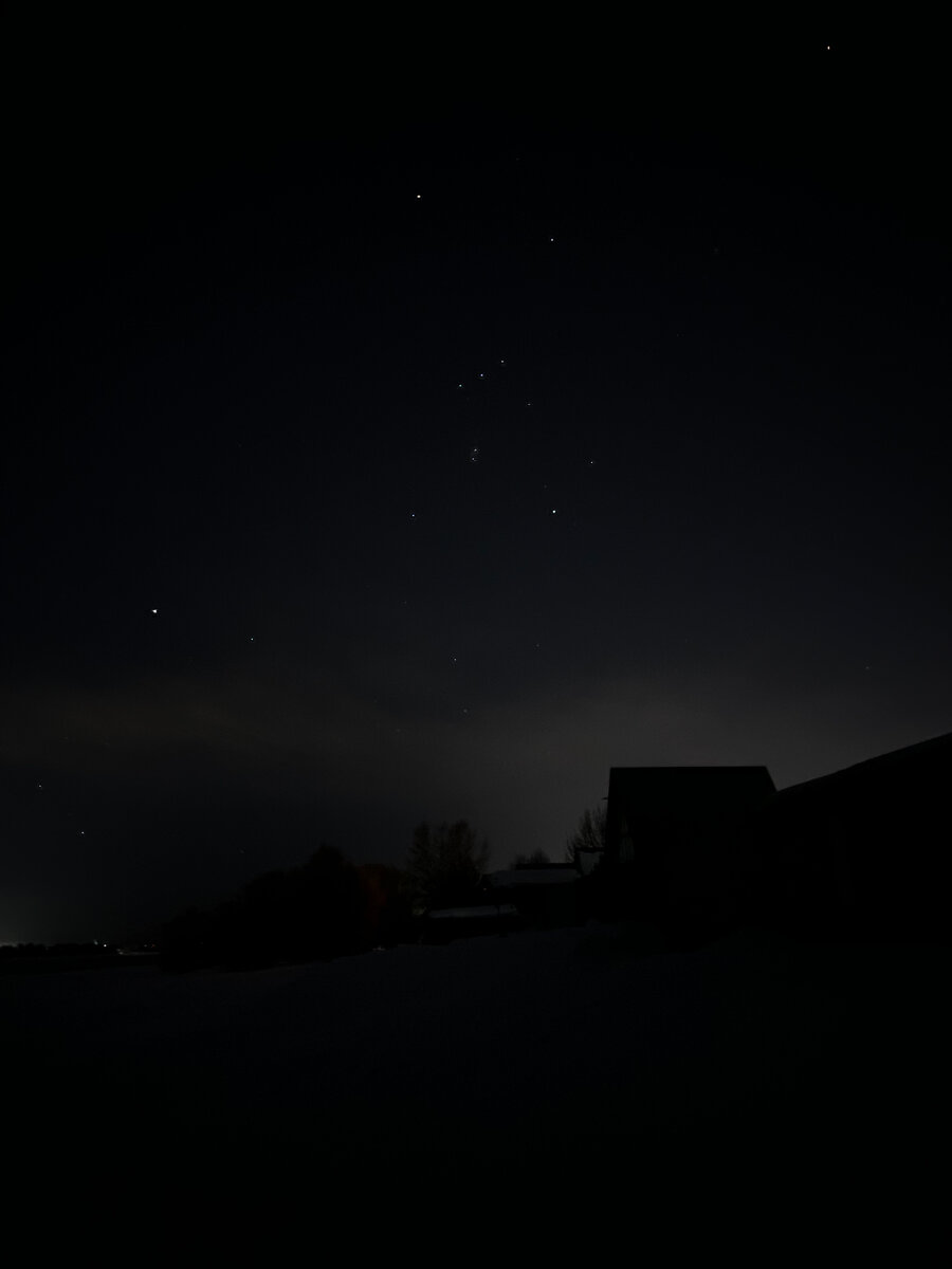 Орион смотрит на меня с укоризной