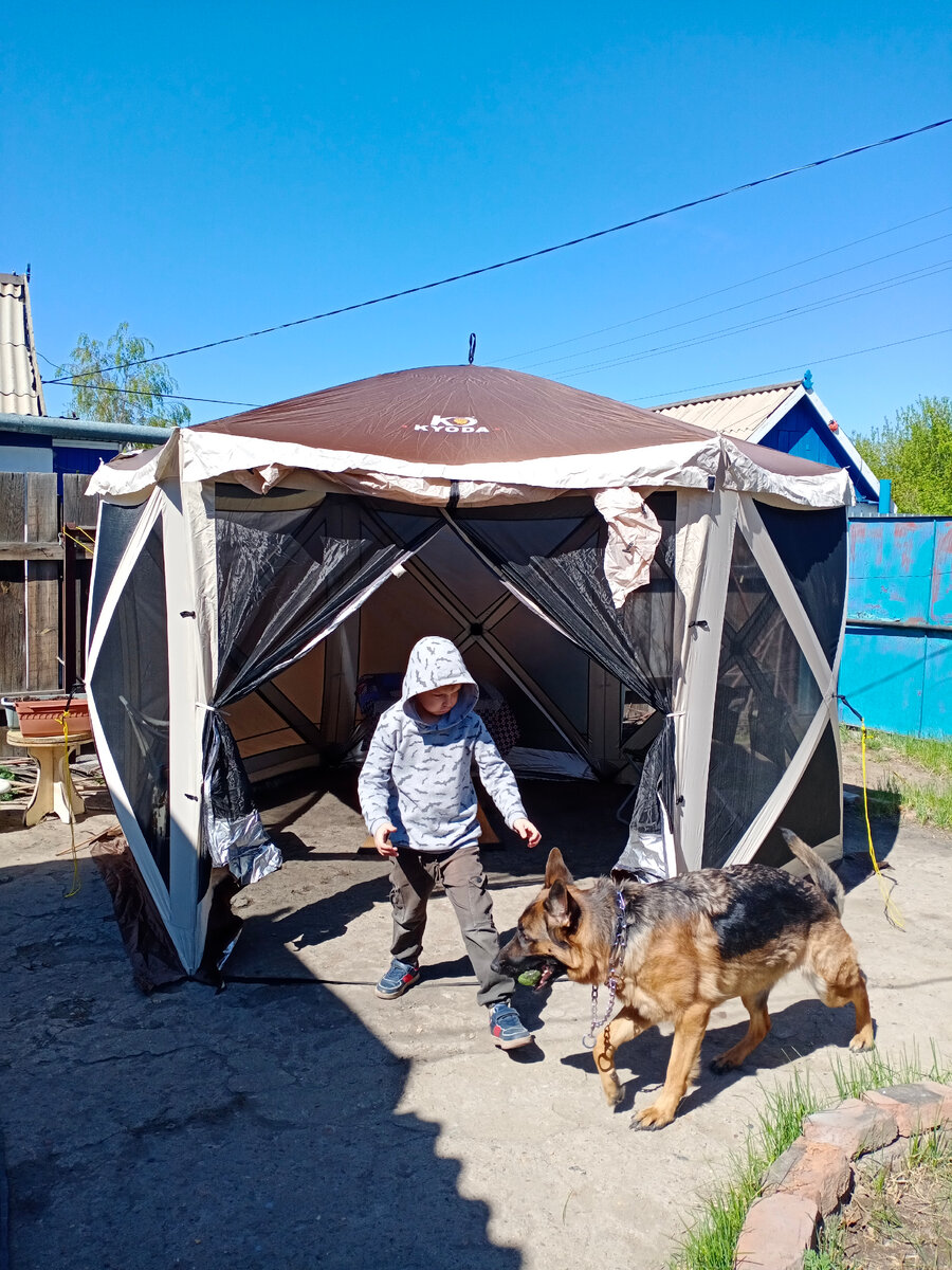 #туризмипутешествия #обзорпалаток #путешествиенамашине #путешествиясдетьми #путешествиессобакой #семейныйотдых #отдыхдикарем 