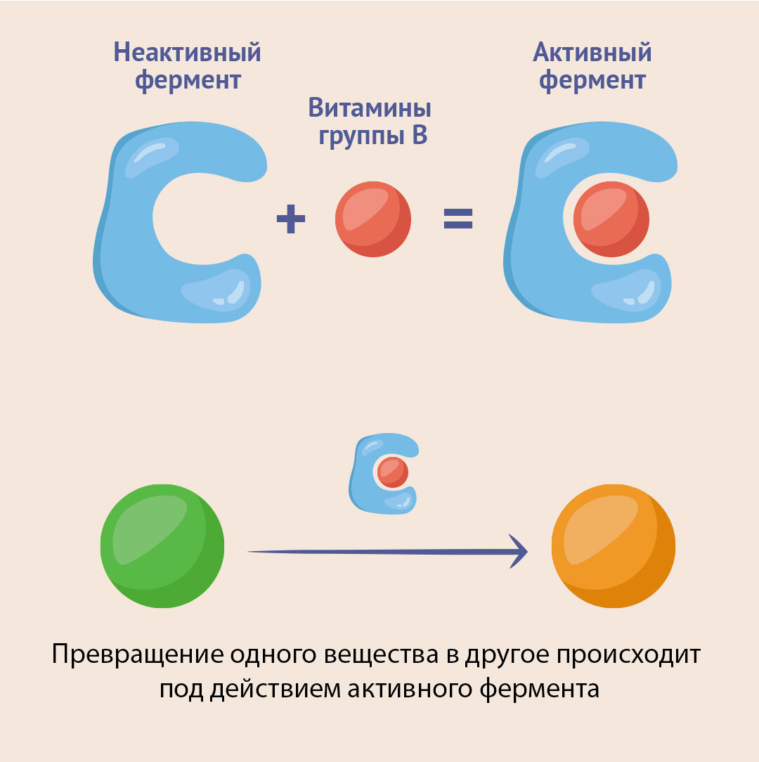 ☺ Восстановление, защита, нормализация метаболизма…. | LETTERONE витамины и  нутриенты | Дзен