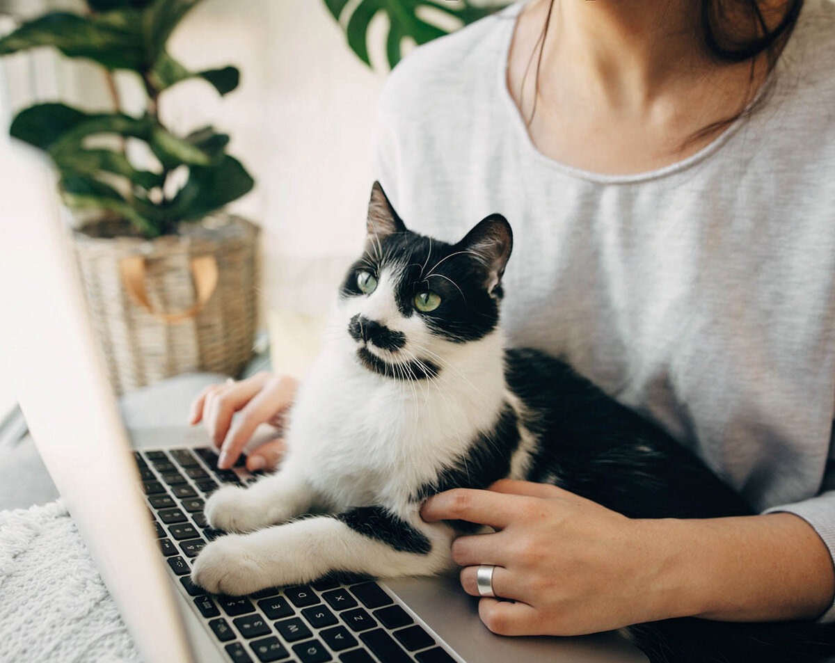    В блокировке потерянной карты нет ничего сложного