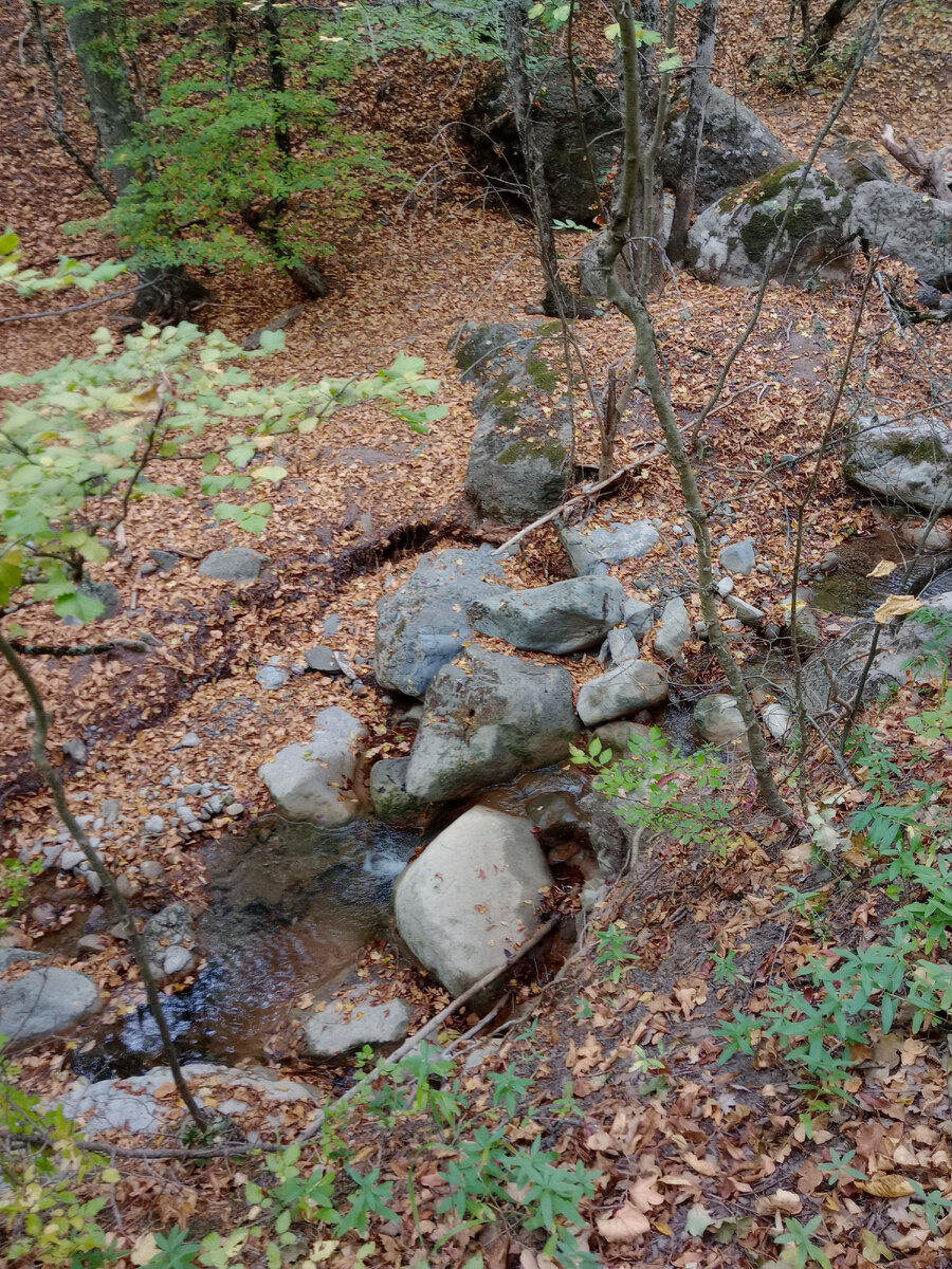 Местами ручей был очень мелким