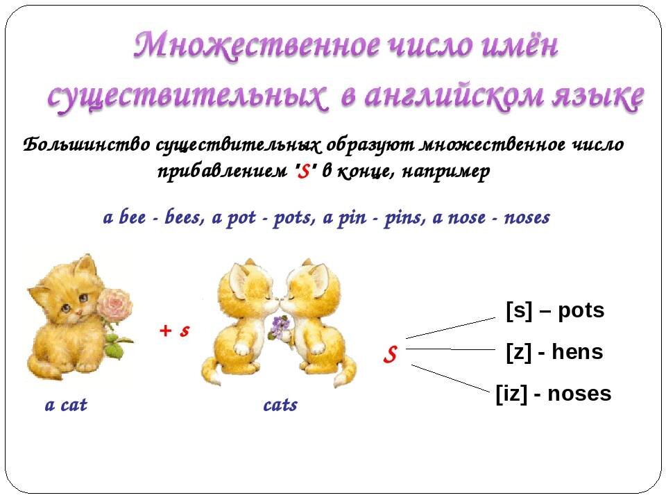 Мебель множественное число есть или нет