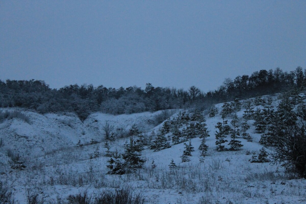Сниженные альпы - фото автора