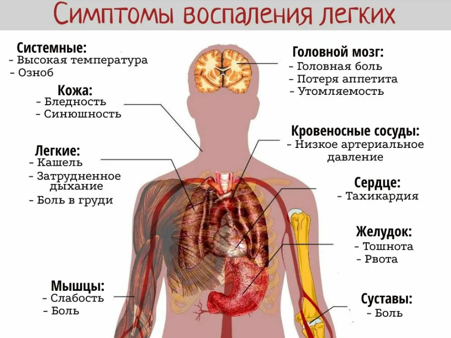 Фотография взята из источника buy-artox.ru