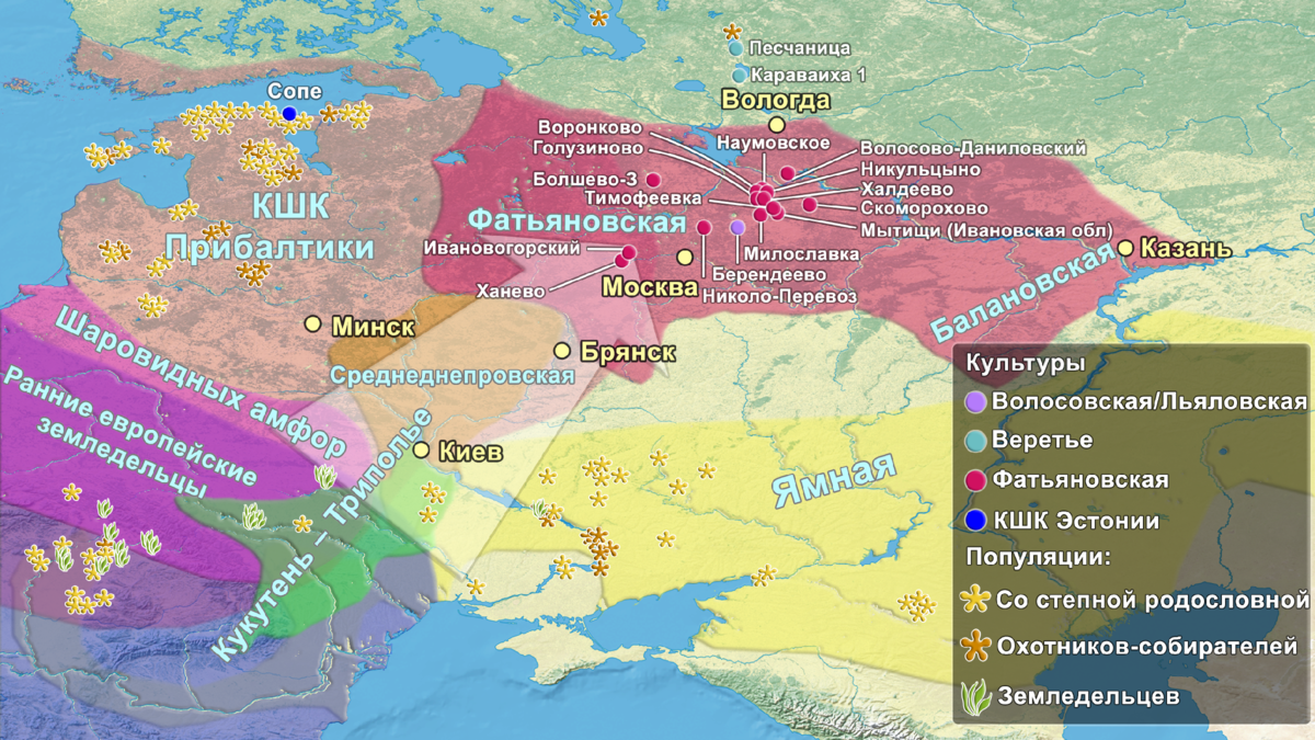 ДНК носителей фатьяновской и абашевской культур. Миграции на Русской  равнине в бронзовом веке | Археология, история, генетика | Дзен