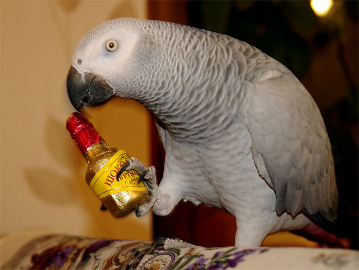 Жако с бутылочкой шоколадного ликёра