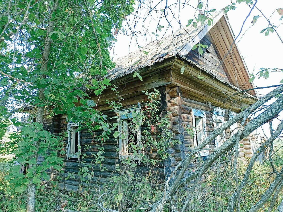 Изменение сайт картинки https://goo.su/nueO  Дом призрака.