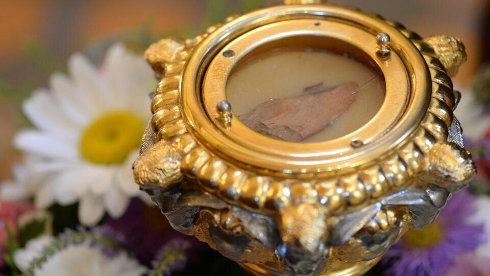 Фото: © РИА Новости/Сергей Пятаков