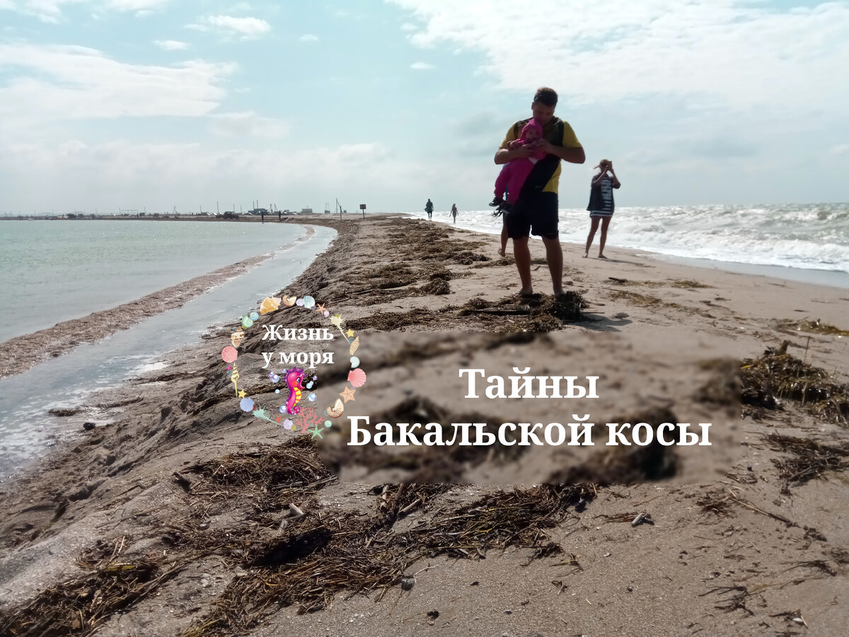 Коса у реки