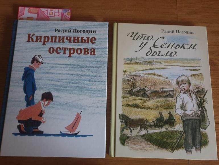 Дубравка радия погодина. Книги радия Погодина. Радий Погодин. Отзыв на книгу радия Погодина что у Сеньки было.