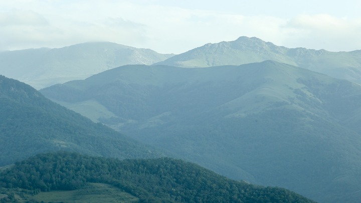 ФОТО: BULKIN SERGEY/GLOBALLOOKPRESS 