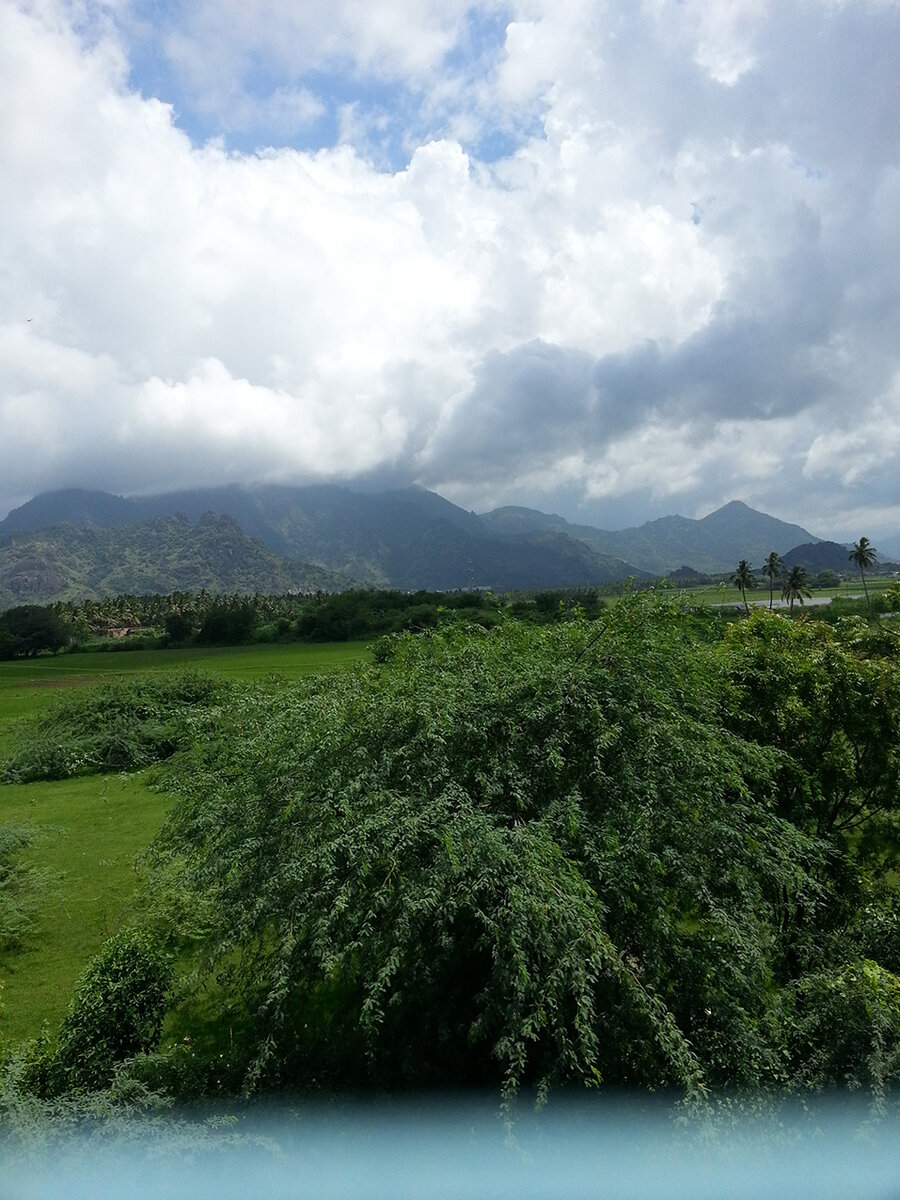 Вид из окна поезда