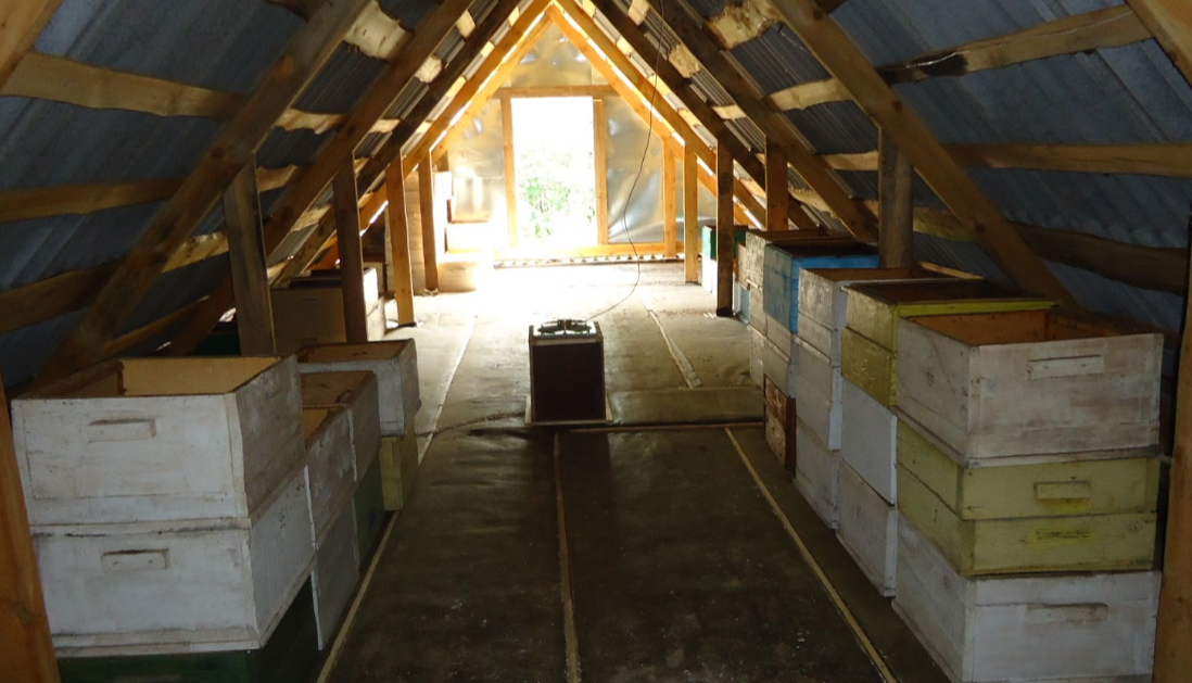 Улей на чердаке
