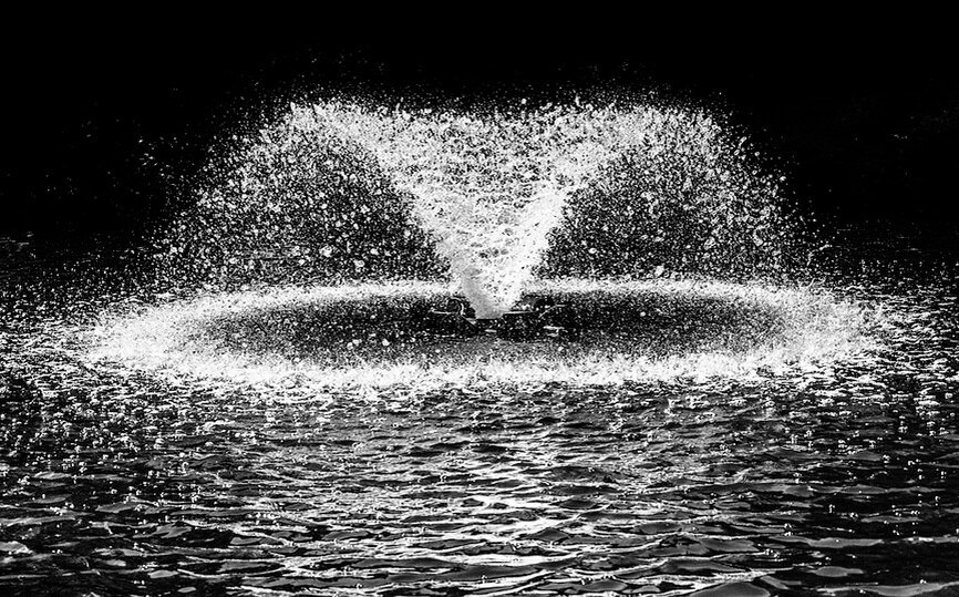 Фото с сайта https://pixabay.com