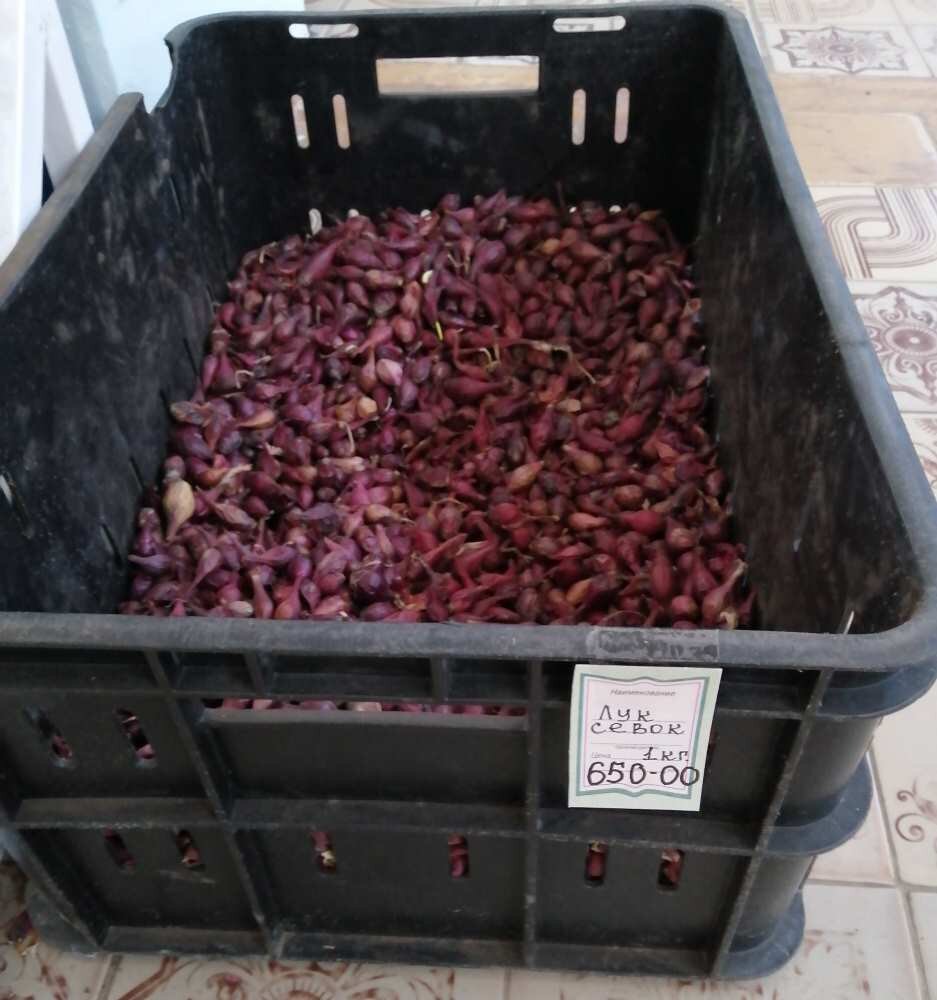 весна, крестьянин торжествует, фото автора