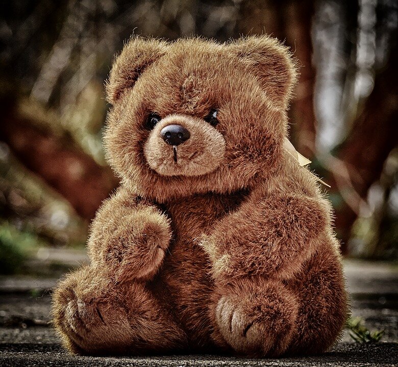Фото: pixabay.com   