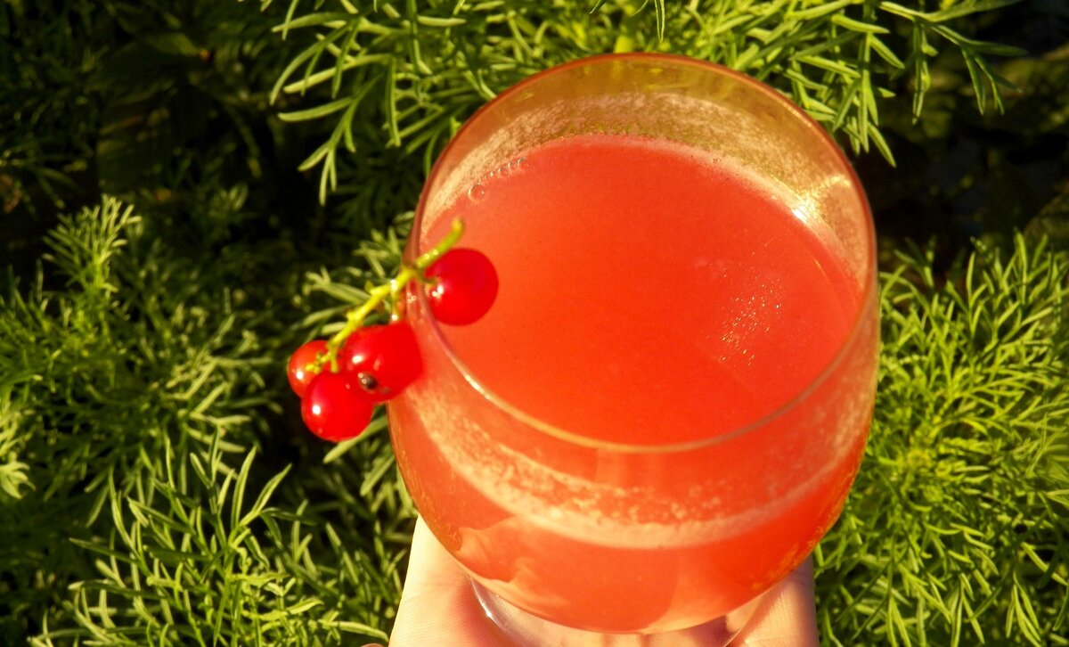 Простой напиток, снижающий риск тромбообразования