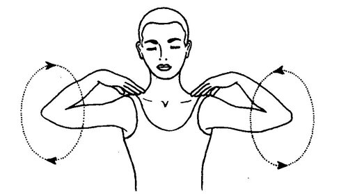 2. Плечи. Встаньте ровно, положите ладони на плечи, выполните круговые движения вперед и назад по 10-15 раз.