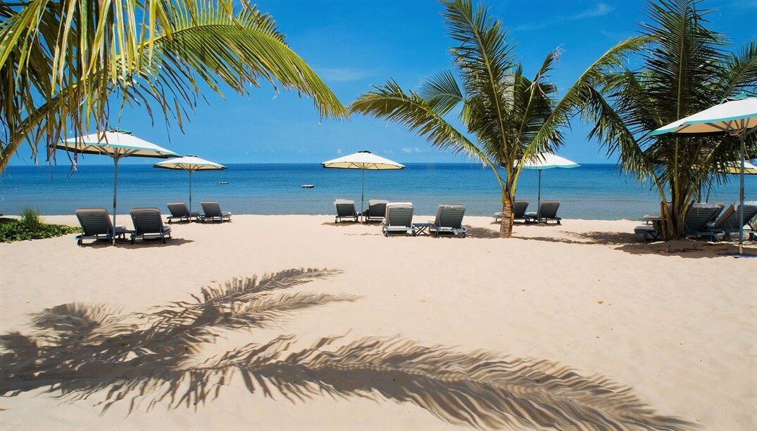 Фото из открытых источников yandex.ru