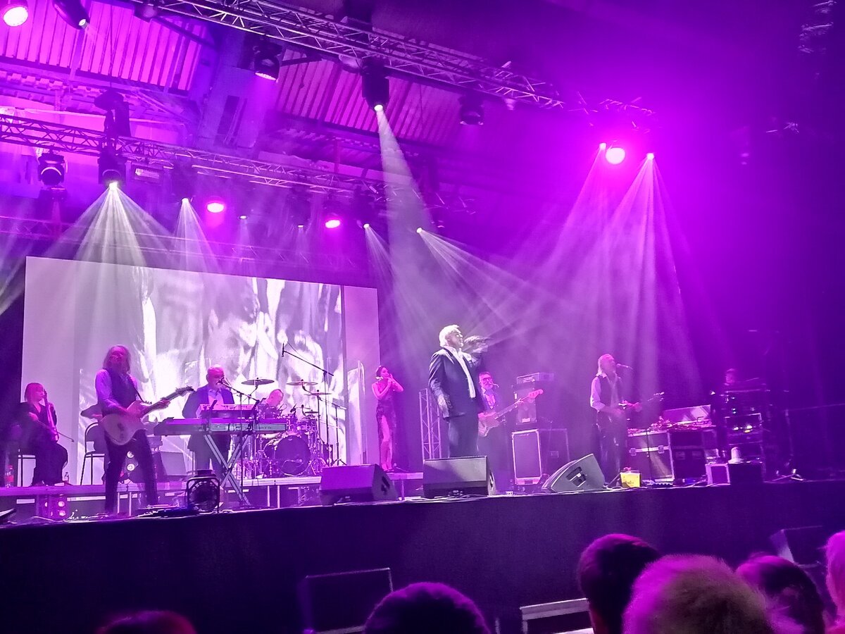 Валерий Меладзе на концерте в Рыбинске