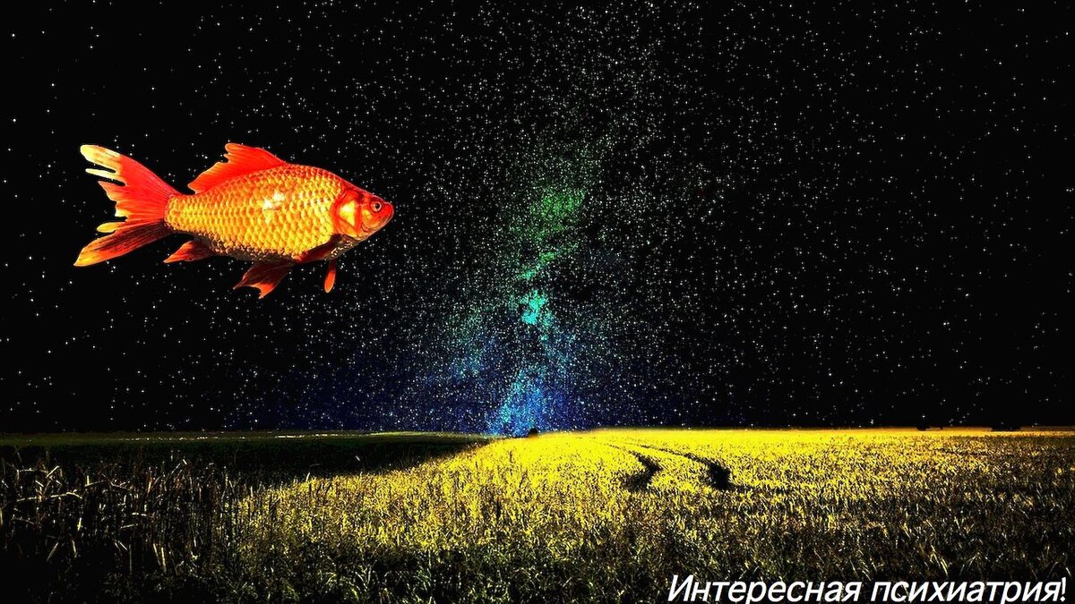 Изображение 1980supra с сайта Pixabay 