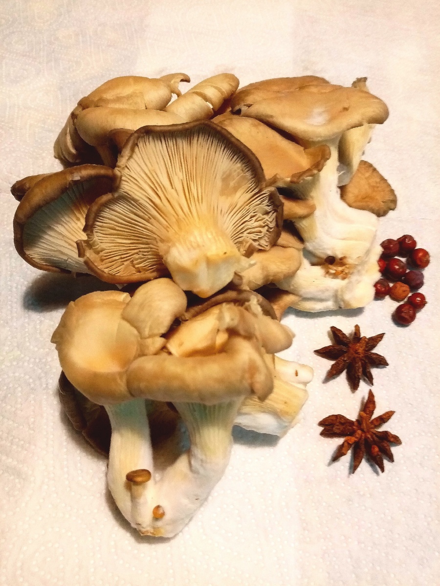 На 1л. водки : 300 г. вешенок, 10 шт. ягод можжевельника колючего, 2 шт. бадьяна. Настаиваем месяц и пьём по 1ст.ложке на ночь. 