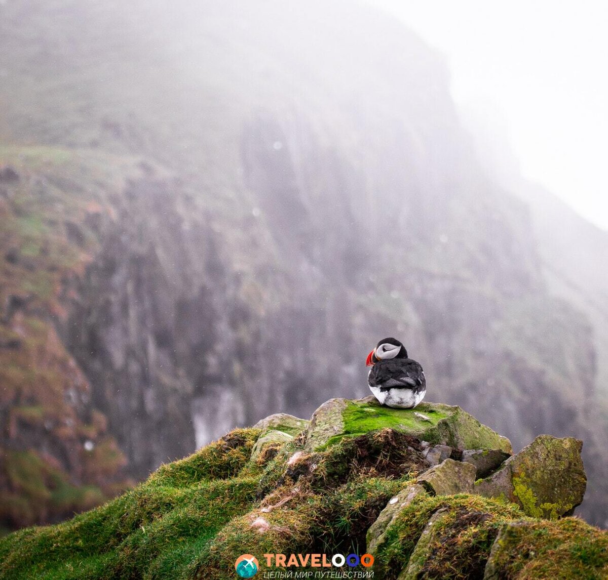 Совет для путешественников: посетители могут испытывать четыре сезона за один час, да за один час, поэтому обязательно соберите несколько подходящую экипировку.

Дела, которые необходимо сделать