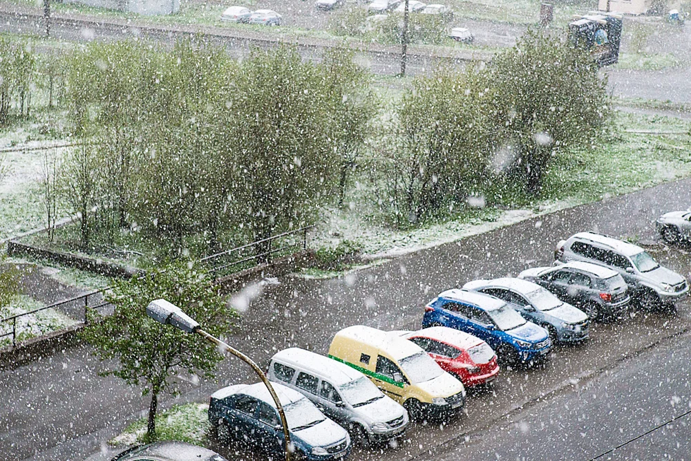 Летний снег. Снег в июне в Мурманске. Снег летом. Снегопад в июне.