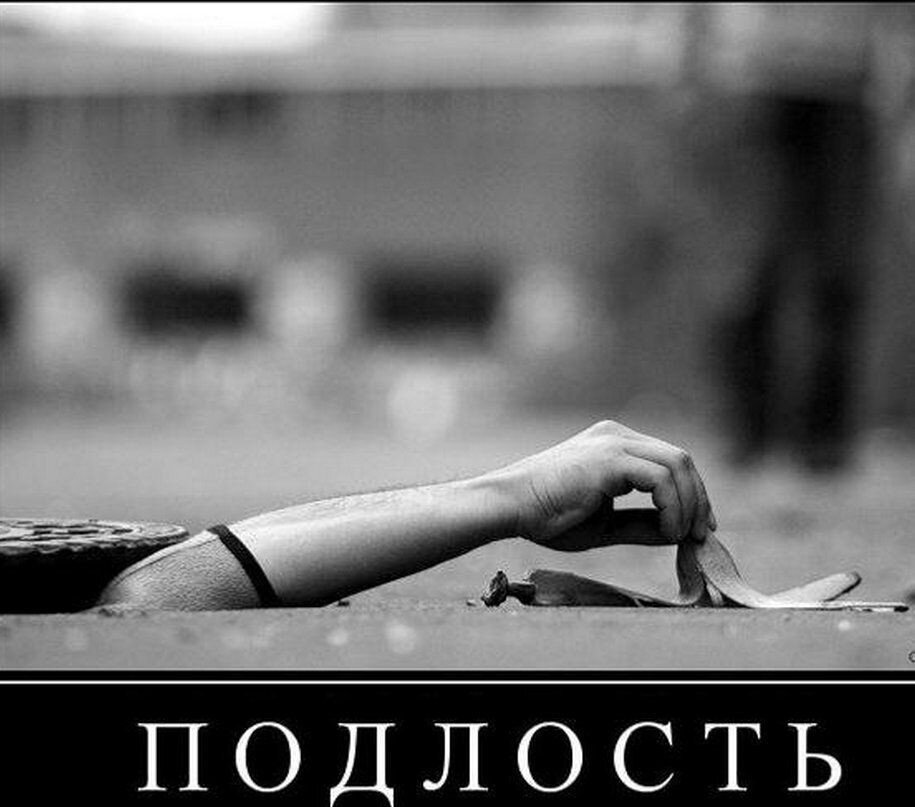 картинка найдена на просторах интернета