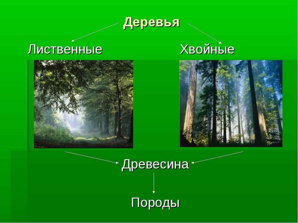 источник: Яндекс.Картинки