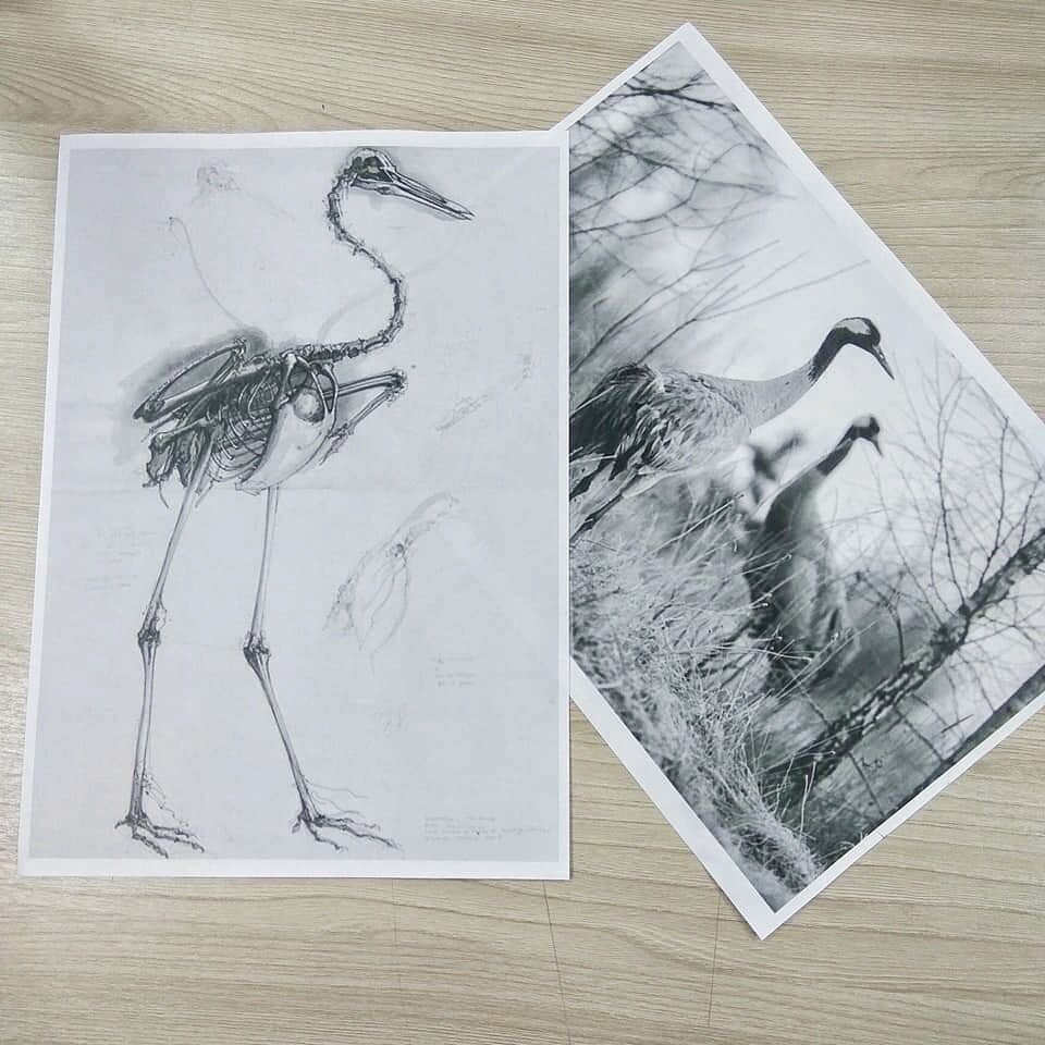 Мой методический материал