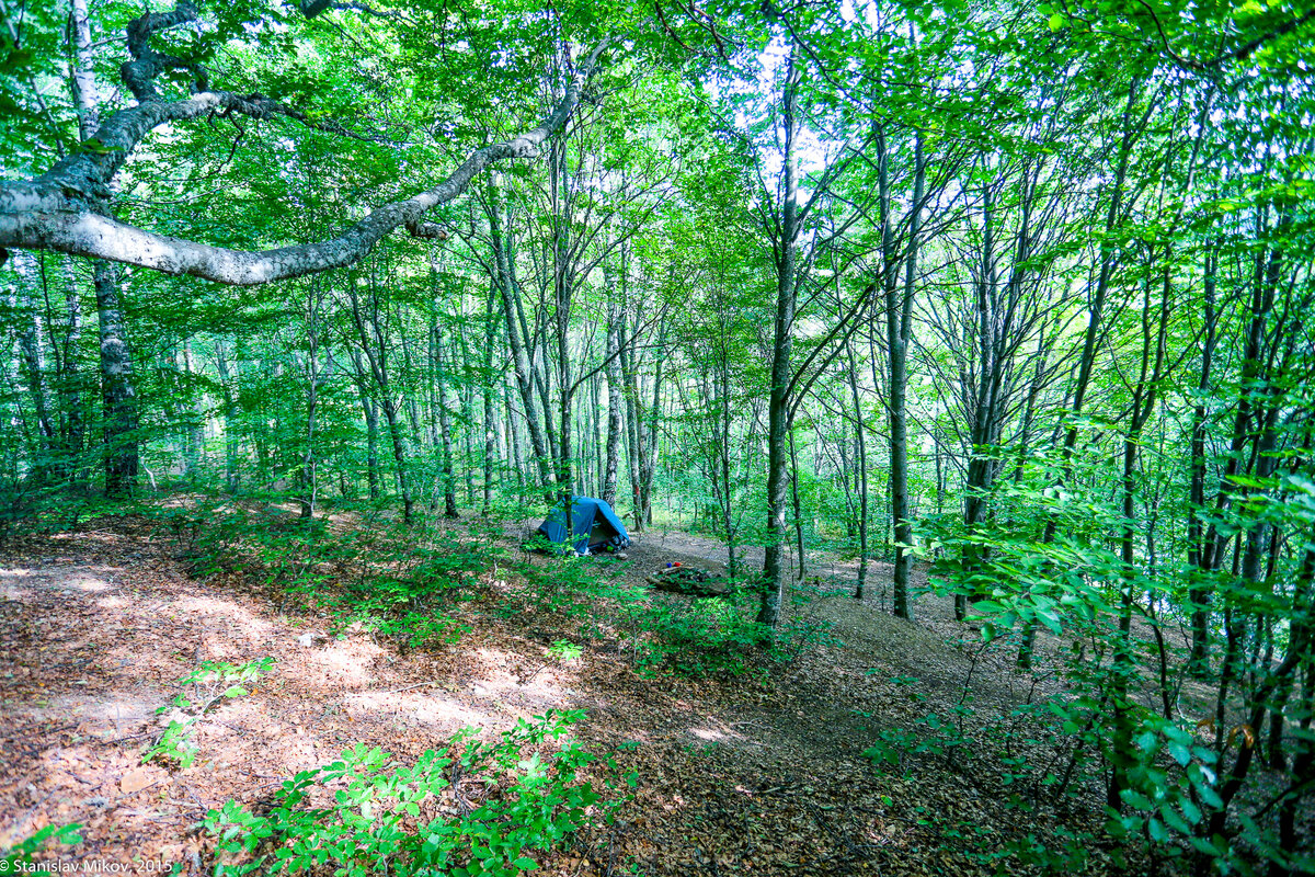 Минус 2 кг сыра