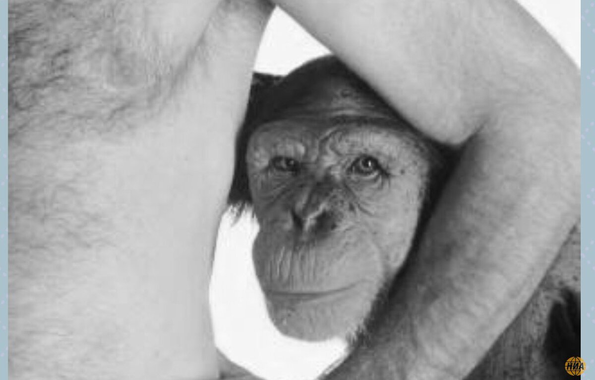 что вчера было интересного. вчера было так хорошо что сегодня плохо. это было вчера. лучше чем вчера цитата. вспомним как это было.