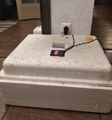 Инкубатор Несушка (БИ1 (2))