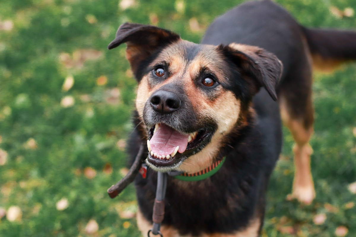 Мальта - выпускница Банды Дворян
