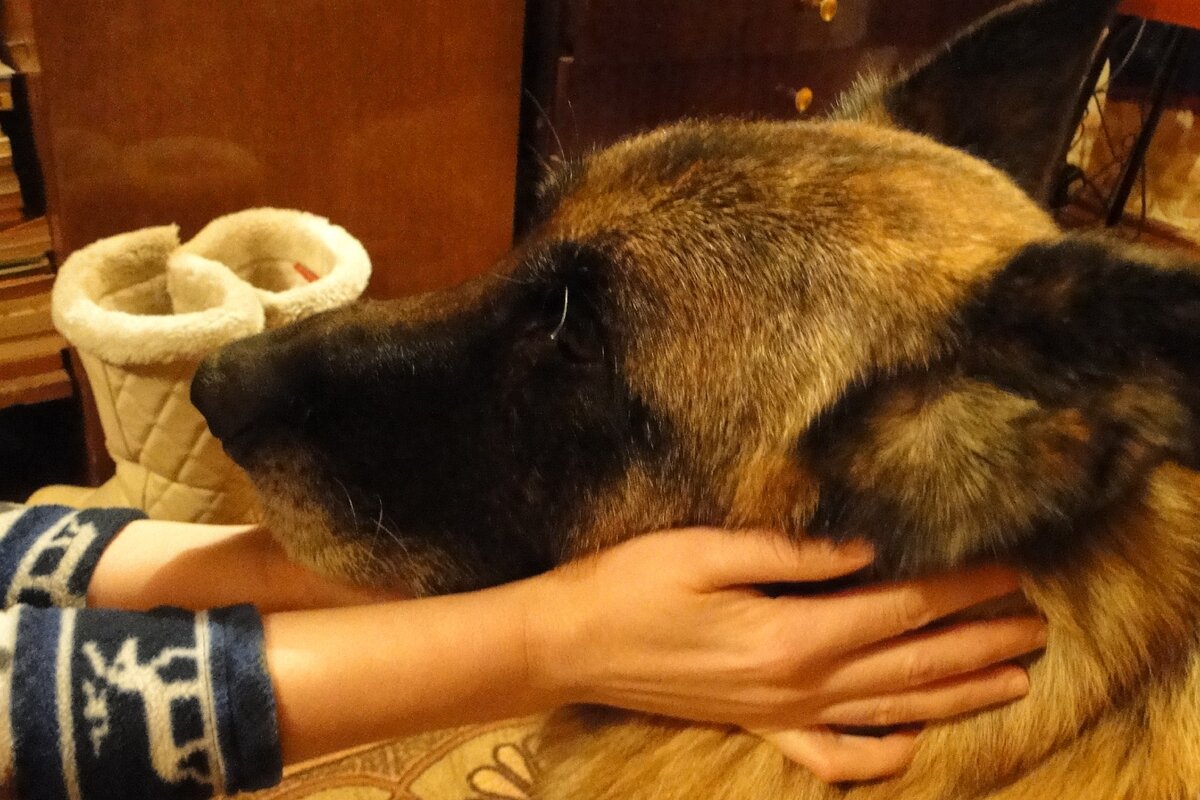 Хассо. Фото из домашнего архива. 