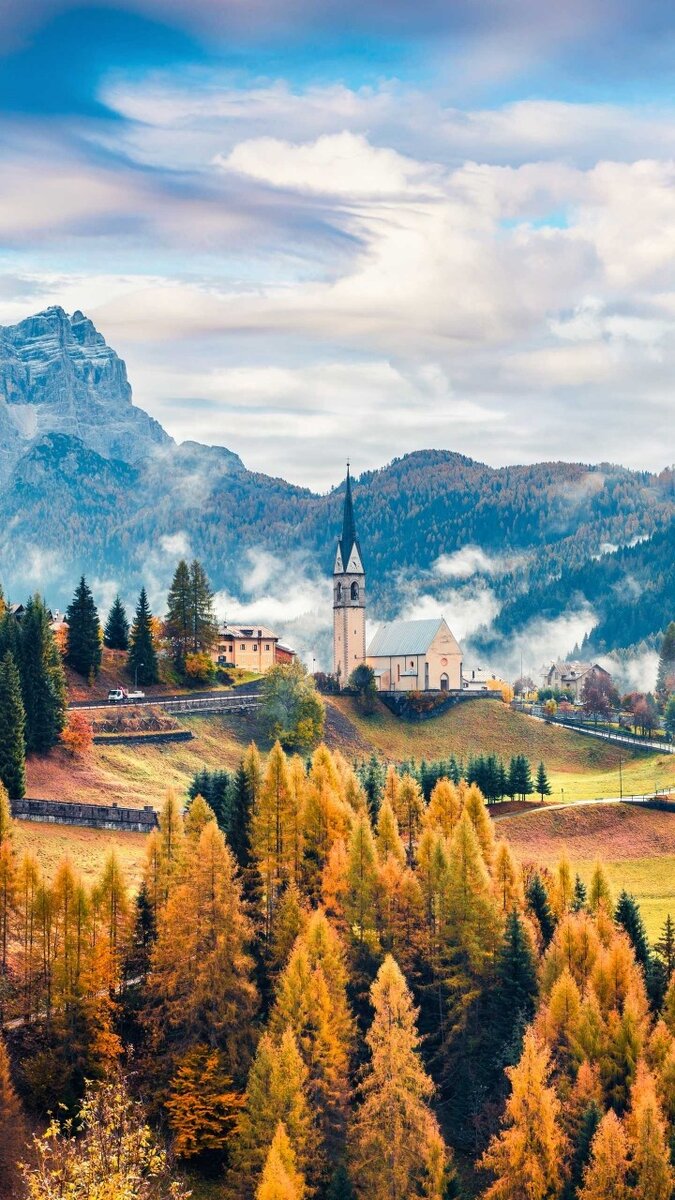 Оцените. И не забудьте подписаться.