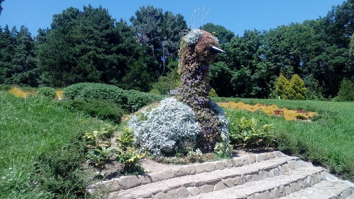 В Сочинском ботаническом саду