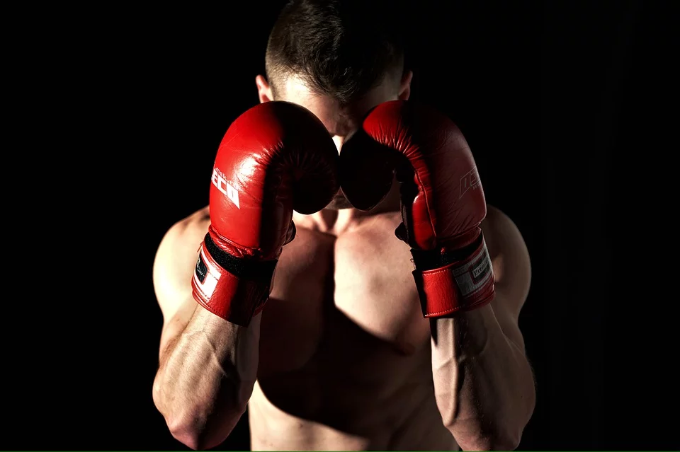 https://cdn.pixabay.com/photo/2019/12/06/15/12/boxing-4677527_960_720.jpg