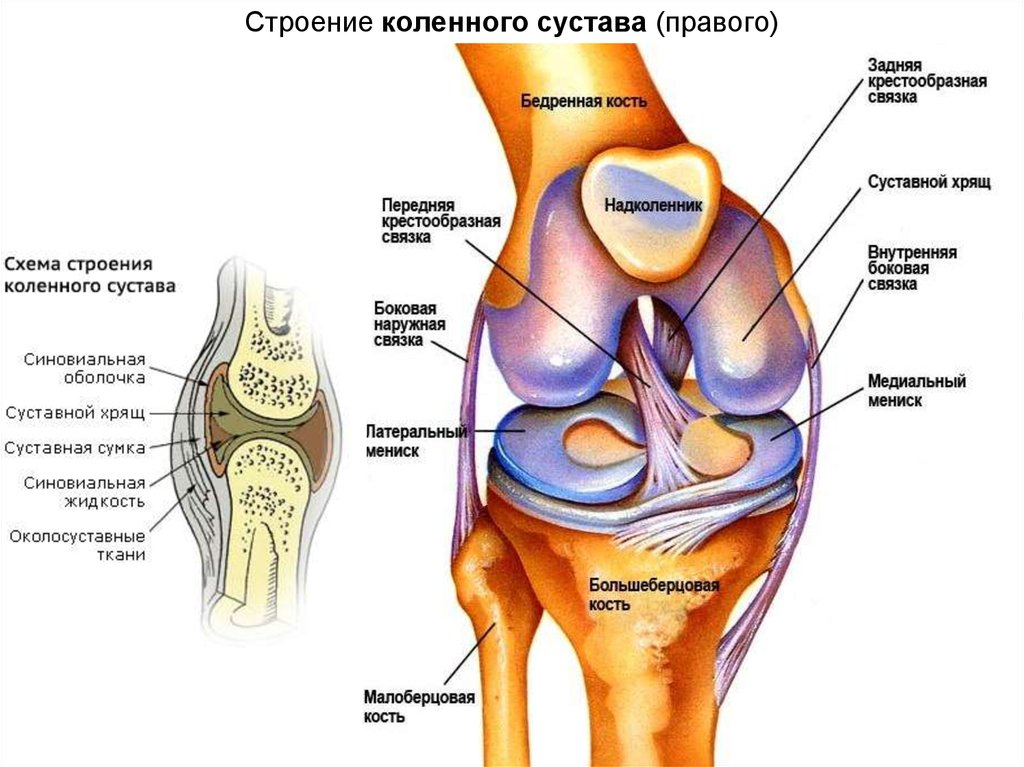 Лечение разрыва связок коленного сустава