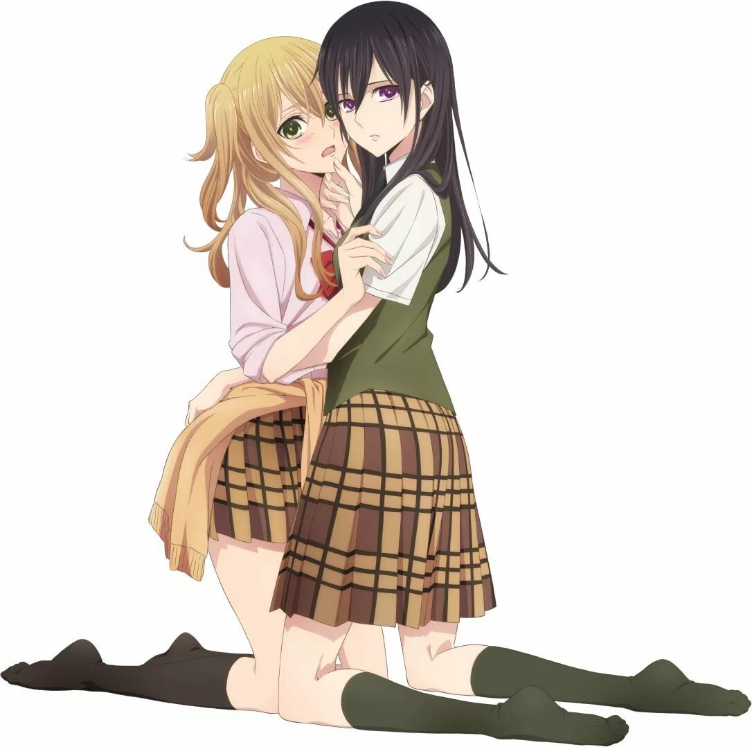 источник: Яндекс.Картинки