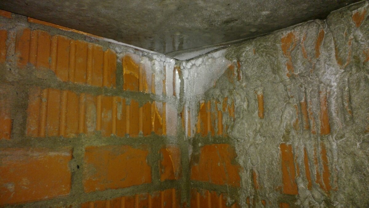 Фото взято из открытых источников