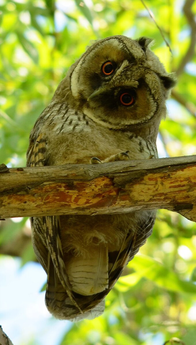 Взгляд полный любопытства