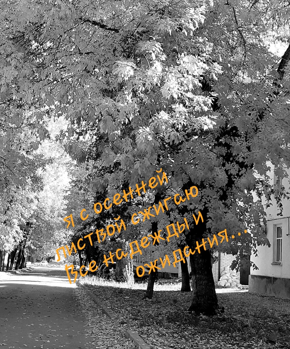 Я с осенней листвой сжигаю все печали и ожидания... | Ева Ланская | Дзен