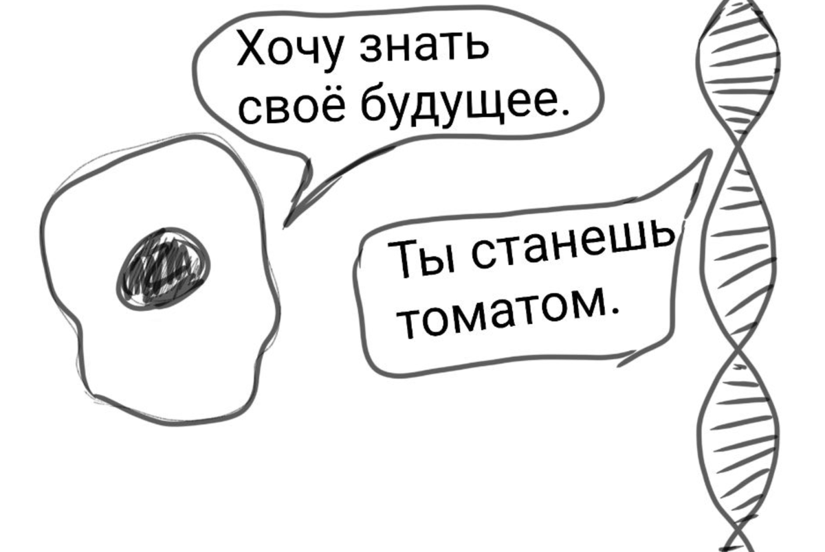 Встречаются как-то клетка и ДНК