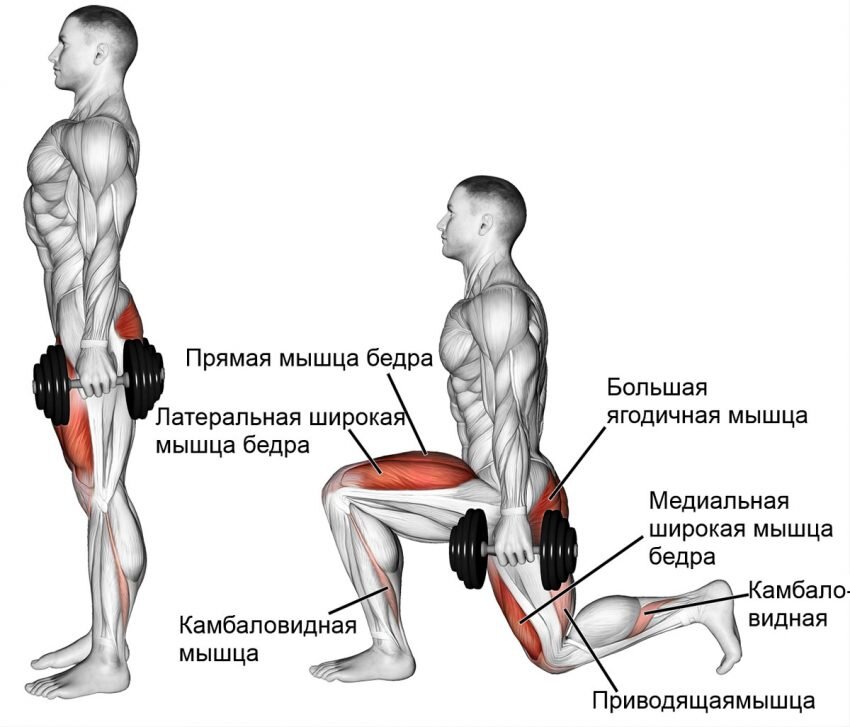 Комплекс упражнений для домашней тренировки. Занятия на все группы мышц – подходят для начинающих