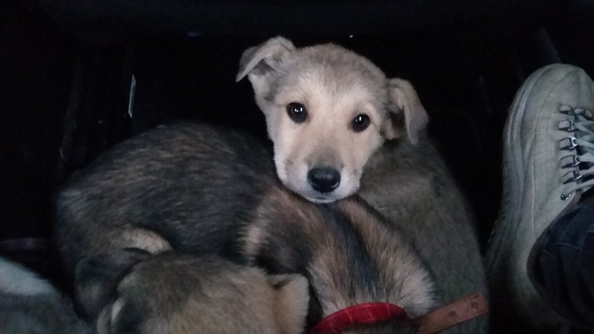 фото автора