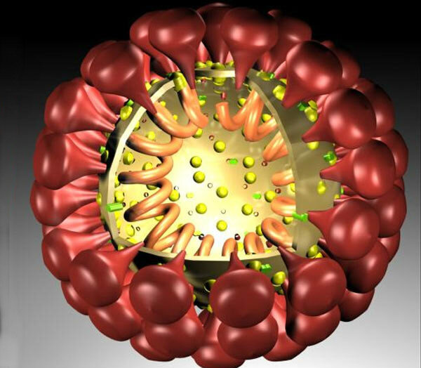 Яндекс Картинки
