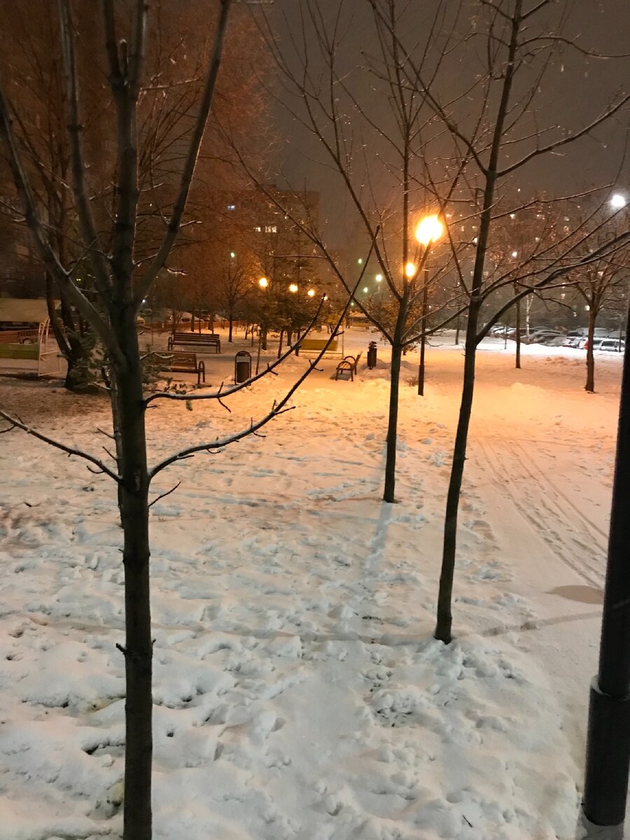 Сегодня чудный февральский день, только плюс на улице.. слякоть